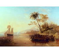 ARTXLXXBN Dipinti Famosi Painting Quadri Tela Stampe Su Tela Animali un barco de agrimensura británico en el Pacífico Sur recibido por Johncarmichael per Decorazioni per la Casa 60x90cm