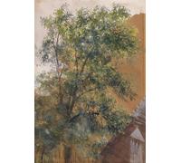 ARTXLXXBN Dipinti Famosi Poster Parete Quadri Murale Tela Vista desde la ventana del estudio en Marienstraße por Adolph Menzel per la Decorazione Della Parete 60x90cm