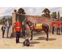 ARTXLXXBN Dipinti Famosi Stampa Immagini Quadri Moderni Art la mascota mula y el mono del regimiento de Middlesex por After Edgar Alfred Holloway per L'arredamento del Soggiorno 60x90cm