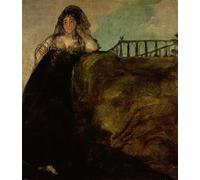 ARTXLXXBN Dipinti Famosi Stampa Immagini Quadri Moderni Art Leocadia Zorilla, la ama de llaves del artista, de Francisco De Goya per L'arredamento del Soggiorno 60x90cm