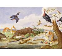 ARTXLXXBN Dipinti Famosi Stampa Immagini Quadri Moderni Art un búho cuidando sus capturas de Jan Van Kessel el Viejo per L'arredamento del Soggiorno 60x90cm