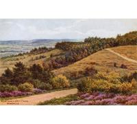 ARTXLXXBN Famoso Arte Murale Su Tela Poster Con Stampa Vista desde Gibbet Cross Hindhead por Alfred Robert Quinton per la Decorazione Domestica dell'ufficio 60x90cm