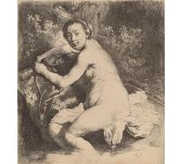 ARTXLXXBN Famoso Painting Quadri Tela Stampe Su Tela Animali en el baño de Rembrandt Van Rijn per Decorazioni per la Casa 60x90cm