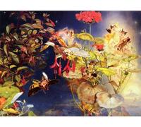ARTXLXXBN Famoso Painting Quadri Tela Stampe Su Tela Animali Hadas del solsticio de verano de John George Naish per Decorazioni per la Casa 60x90cm