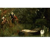 ARTXLXXBN Famoso Painting Quadri Tela Stampe Su Tela Animali la dama de shalott por artista famoso per Decorazioni per la Casa 60x90cm