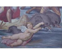 ARTXLXXBN Famoso Stampa Immagini Quadri Moderni Art Galatea Detalle de Putto y Delfines de Raffaello Sanzio Raphael per L'arredamento del Soggiorno 60x90cm