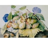 ARTXLXXBN Famoso Stampa Immagini Quadri Moderni Art Plato de Ciruelas Jazmín y Nueces de Giovanna Garzoni per L'arredamento del Soggiorno 60x90cm