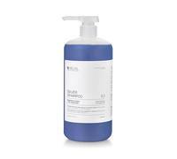 ARUAL Shampoo Silver per capelli biondi, grigi e bianchi.