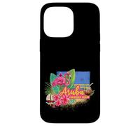 Aruba Isola caraibica retrò con souvenir vintage Flamingo Custodia per iPhone 14 Pro Max