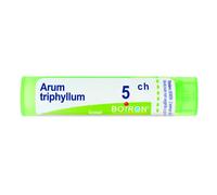 ARUM TRIPHYLLUM*5CH 80GR 4G