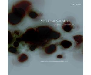 Arve Henriksen After the Wildfire (Vinyl LP)
