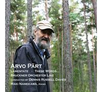 Arvo Pärt Arvo Pärt: Lamentate/These Words... (CD) Album