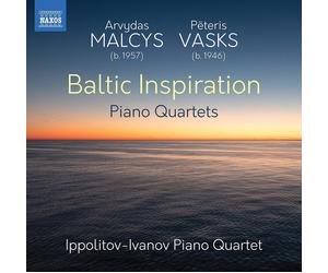 Arvydas Malcys Arvydas Malcys/Peteris Vasks: Baltic Inspiration: Piano Quar (CD)