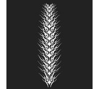 ARYU Spinal Centipede Tattoo Stickers For Men Waterproof And Long-Lasting Simulation Tattoos Herbal Semi-Permanent Back Juice Non-Reflective Large Picture 17 * 48cm