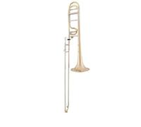 aS Arnolds & Sons ASL-432G Terra B/F-Tenor Posaune