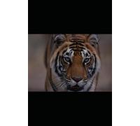 AS BATALHAS DE UM JOVEM EM MUTAÇAÕ: A EVOLUÇÃO DE UM SER