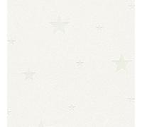 AS Creation Si Illumina Al Buio Stars Parati Caratteristica Muro Grigio Taupe