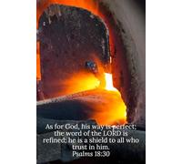 As for God, his way is perfect; the word of the LORD is refined; he is a shield to all who trust in him. Psalms 18:30 - Daily Journal