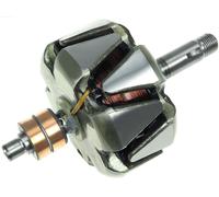 AS-PL AR0002 Rotore, Alternatore