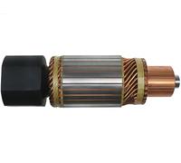 AS-PL SA0010 Ancorina Starter
