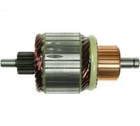 AS-PL SA0047 Ancorina, Starter