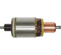 AS-PL SA0069 Ancorina, Starter