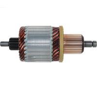 AS-PL SA0076 Ancorina, Starter