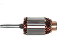 AS-PL SA3011 Ancorina, Starter