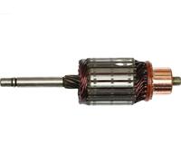 AS-PL SA4021 Ancorina, Starter
