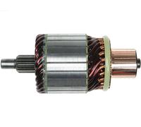 AS-PL SA5021 Ancorina, Starter