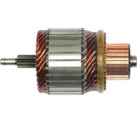 AS-PL SA5028 Ancorina, Starter