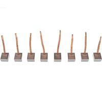 AS-PL SB3012 (IKA) Starter Brush set/spazzole di avviamento