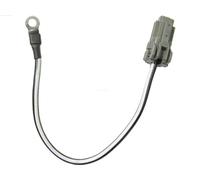 AS-PL SP1002 - Cavo per interruttore magnetico di avviamento