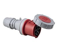 As schwabe 60428 connettore femmina cee 63 a 5 poli 400 v