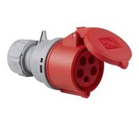 AS Schwabe 60427 60427 Connettore femmina CEE 32 A 5 poli 400 V 1 pz.