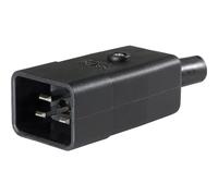 AS Schwabe 62084 Connettore IEC Spina dritta Tot poli: 2 10 A Nero 1 pz.