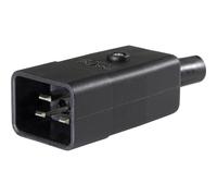 AS Schwabe 62084 Connettore IEC Spina dritta Tot poli: 2 10 A Nero 1 pz.