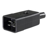 AS Schwabe 62084 Connettore IEC Spina dritta Tot poli: 2 10 A Nero 1 pz.