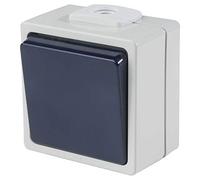 as - Schwabe 62450 Interruttore di spegnimento/cambio in superficie con due entrate per cavi, 230 V, 10 A, Made in Germany, IP54