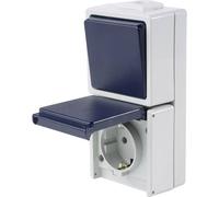 AS Schwabe 62455 Interruttore da parete IP54 Grigio