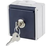 AS Schwabe 62461 Presa da parete bloccabile IP54 Grigio