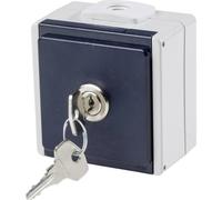 AS Schwabe 62461 Presa da parete bloccabile IP54 Grigio