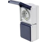 AS Schwabe 62462 Presa da parete IP54 Grigio