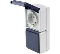AS Schwabe 62462 Presa da parete IP54 Grigio