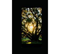 As The Spanish Moss Weeps