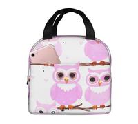asbwuo Bonita lonchera de búho para hombre y mujer, elegante lonchera térmica grande, reutilizable para el trabajo, picnic y senderismo, 21,5 cm de largo x 13 cm de ancho x 20 cm de alto.