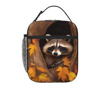 asbwuo Borsa per il pranzo per uomo e donna, riutilizzabile, isolata, con motivo a procione nel buco dell'albero autunnale, borsa per il pranzo per lavoro e picnic