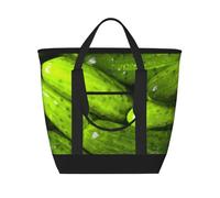 asbwuo Borsa termica per la spesa Pickles Pickle - Grande, impermeabile e adatta agli alimenti, perfetta per il trasporto della spesa, il pranzo, i picnic e la consegna da asporto