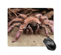 asbwuo Tapis de souris carré imperméable, grand format, imprimé tarentule rose mexicaine, antidérapant, idéal pour le jeu sur bureau, au bureau et à la maison.