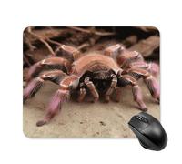 asbwuo Tapis de souris carré imperméable, grand format, imprimé tarentule rose mexicaine, antidérapant, idéal pour le jeu sur bureau, au bureau et à la maison.